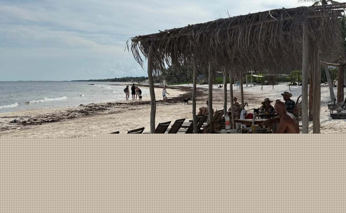 “El CCE mostrará al gobierno lo que se puede mejorar”