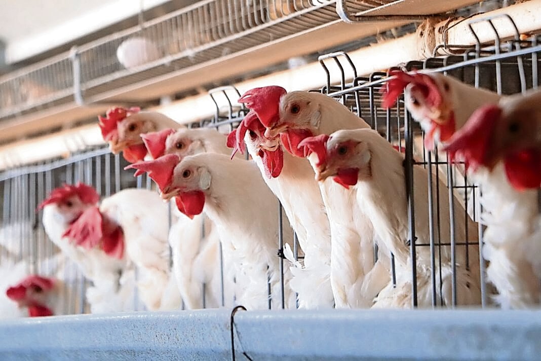 Jornada de violencia deja un negocio destruido, un hombre muerto y dos personas lesionadas en Sinaloa 