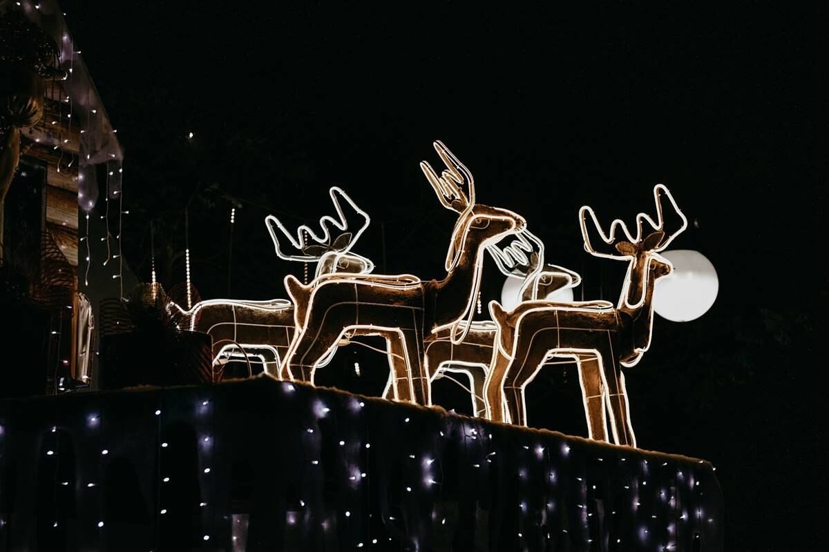 Sheinbaum celebra triunfo de Fátima Bosch en Miss Universo; cuestiona el concurso de belleza 