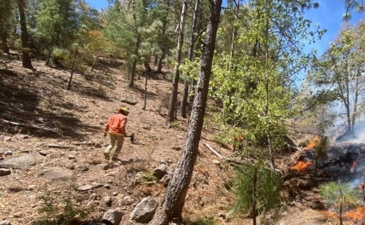 Álvaro Obregón reporta saldo blanco en Jueves y Viernes Santo; más de 4 mil personas han acudido a los parque acuáticos de la alcaldía