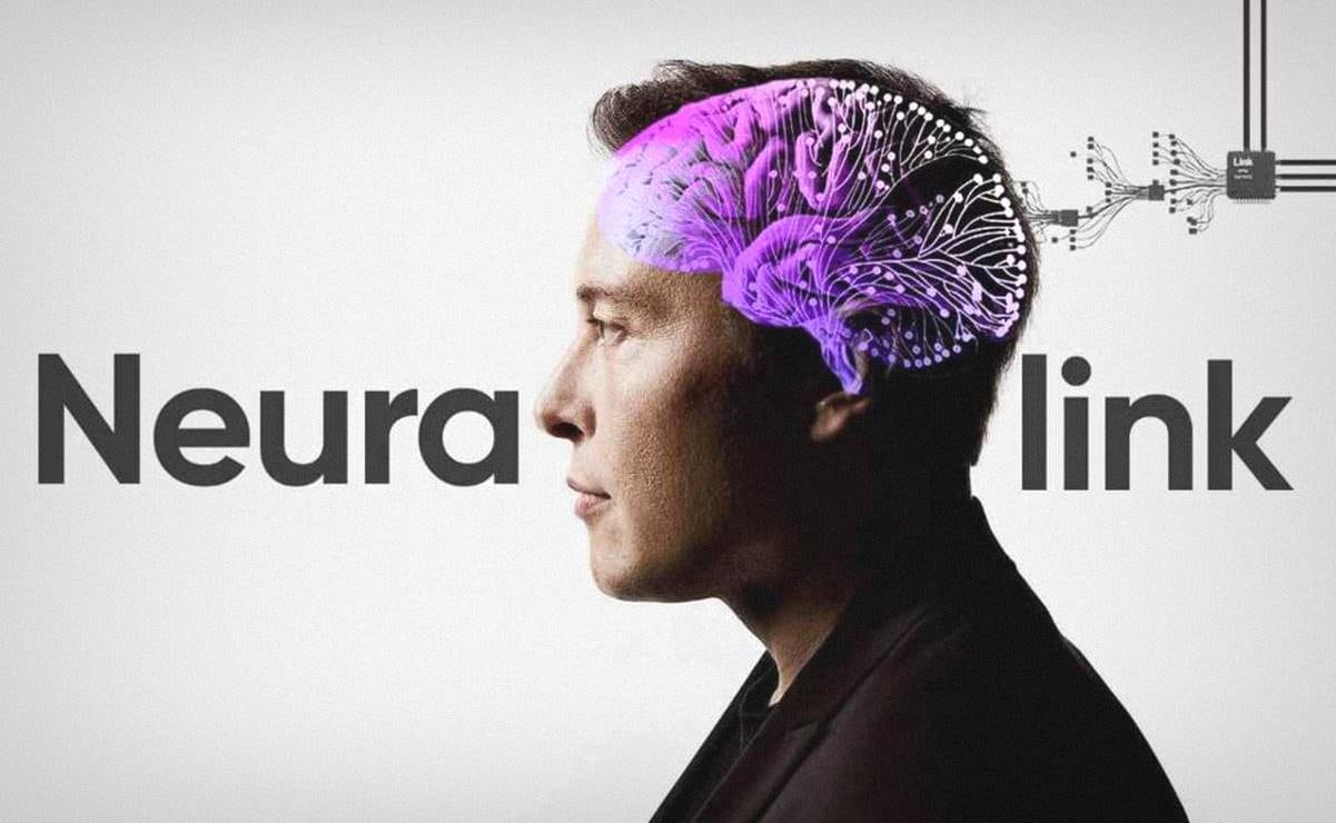 Tesla desmiente estar buscando un reemplazo para Elon Musk; 
