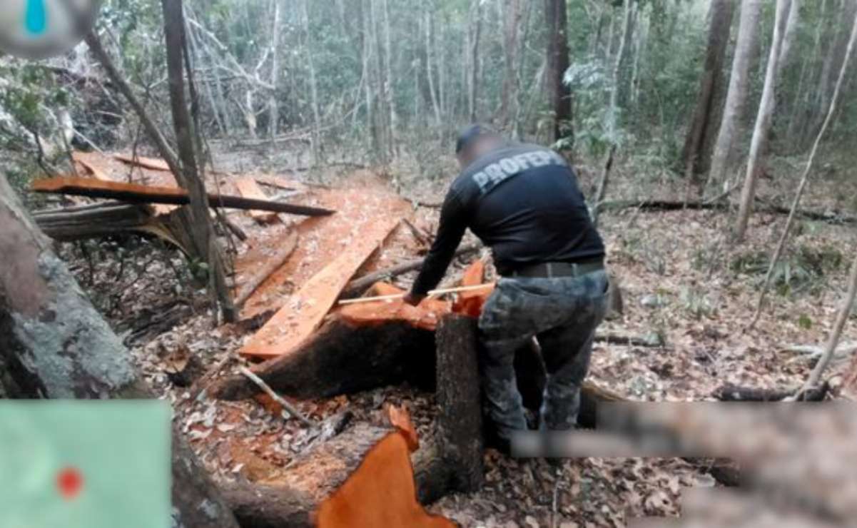 Estado obtiene calificación mxAAA