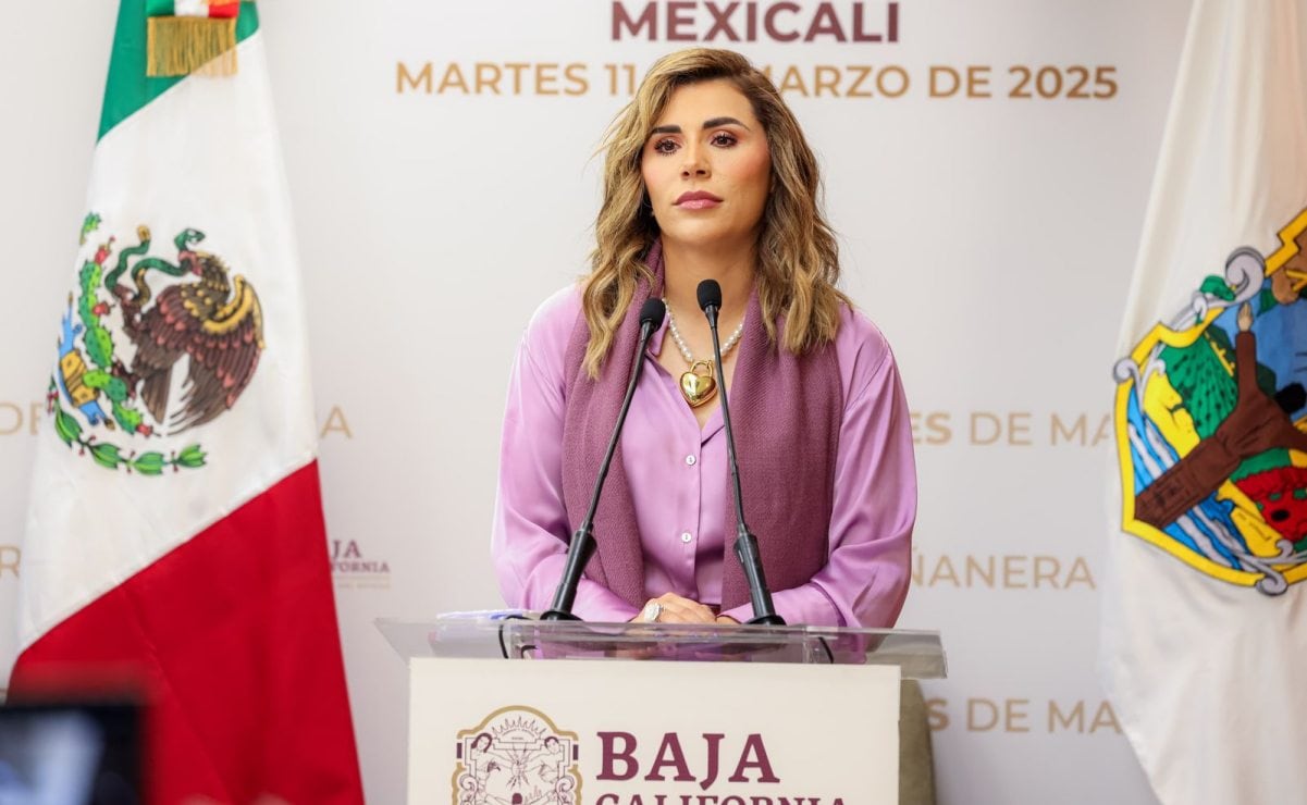 El FICG 2025 recibirá 200 filmes y una sección dedicada al cine de género 