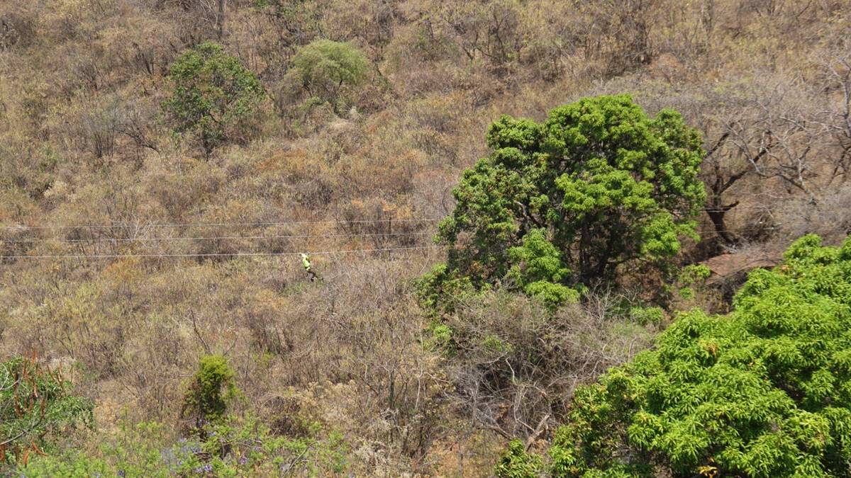 Autoridades municipales de Yucatán prohíben torneos de lazo por crueldad animal; 