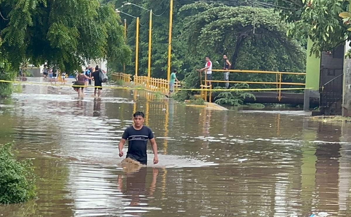 Bancos tiene que ser aliados del Plan México, dice Multiva; va por financiamiento a infraestructura