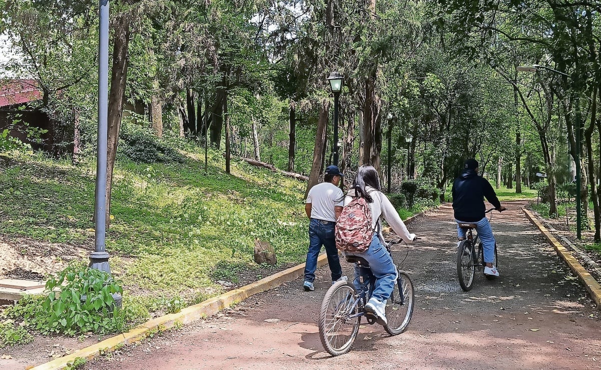 Llave MX ¿Cómo crear tu identidad digital?; sirve para trámites en línea y registros en programas del Bienestar