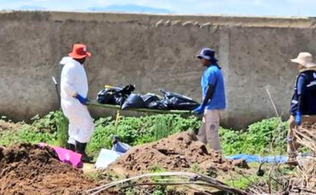 En 3 meses, alcaldía Benito Juárez ha retirado 400 franeleros; eliminan 20 toneladas de objetos que obstruían vía pública