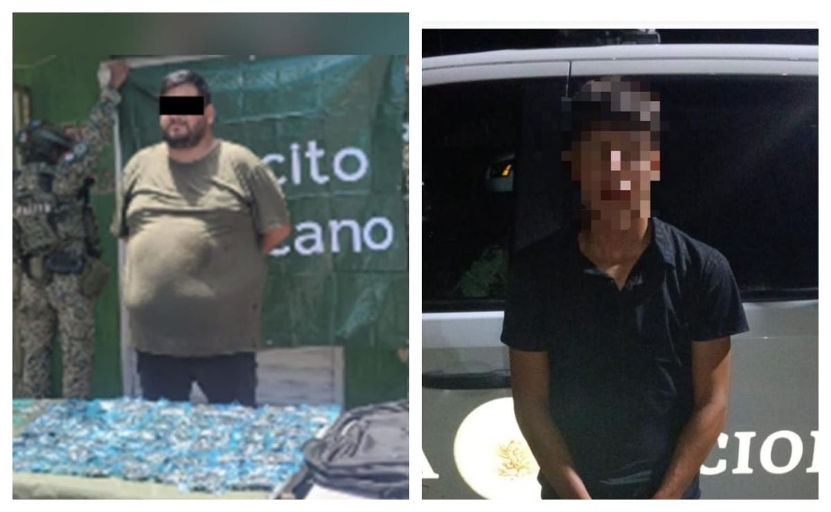 Plaga del gusano barrenador se extiende por Veracruz; Puebla activa alerta ante posible contagio