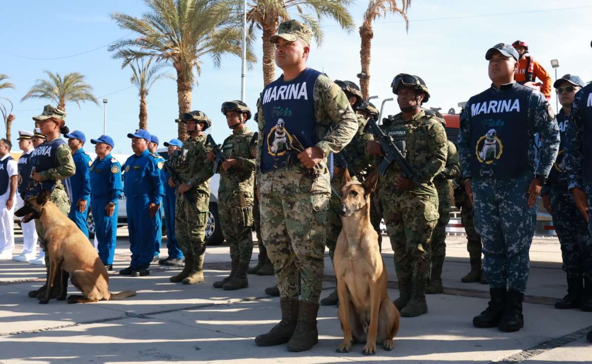 Operación Frontera Norte suma cinco mil 131 personas detenidas; incautan 44 toneladas de droga y cientos de armas