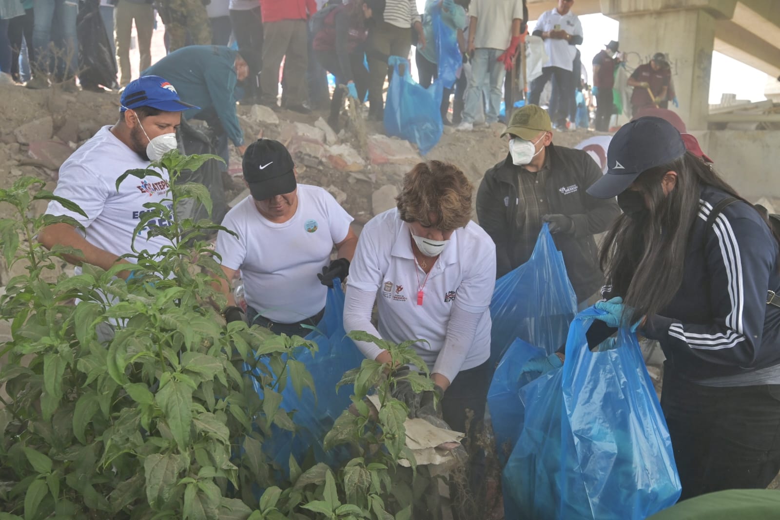 Concretan acceso libre a Playa Mangle y Parque El Jaguar para residentes de Tulum