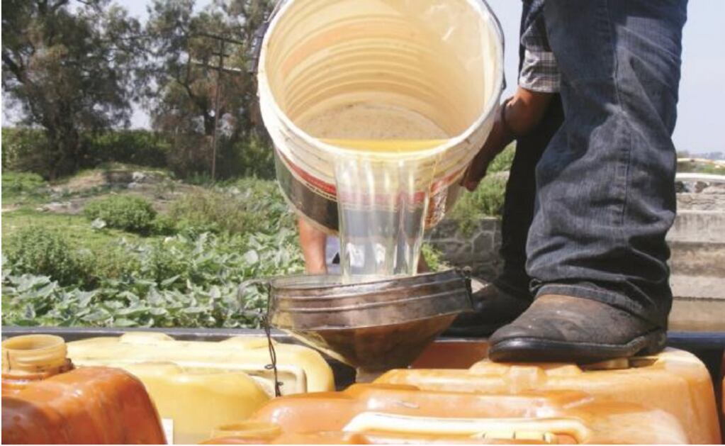 Mexicanos gastan 50% más en alimentos y bebidas durante festejos patrios, revela análisis