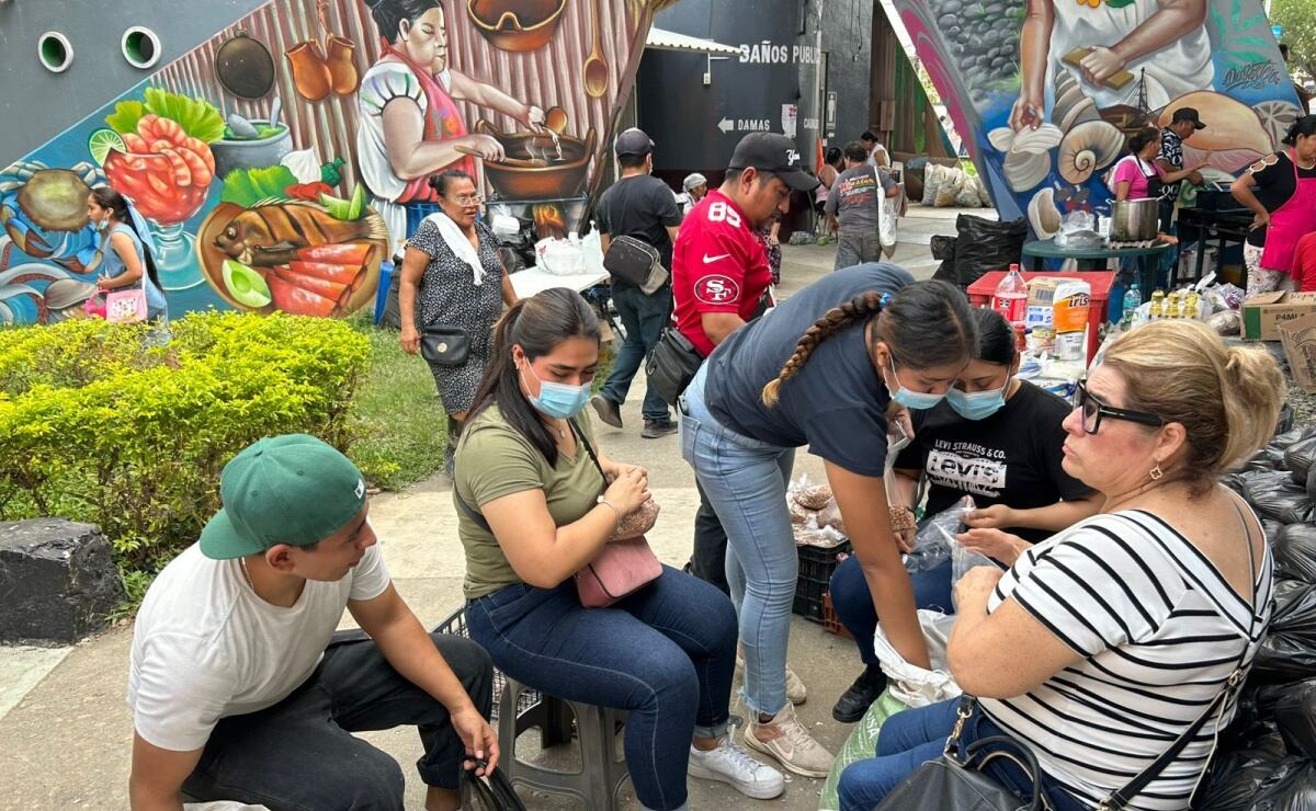Desfile de Alebrijes y Marcha Zombie modificarán servicio de Metrobús; estas son las cuatro líneas afectadas