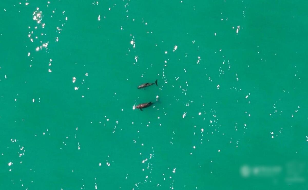 Campesinos de Hidalgo mantienen bloqueo en autopista Arco Norte para exigir precios justos del maíz y trigo