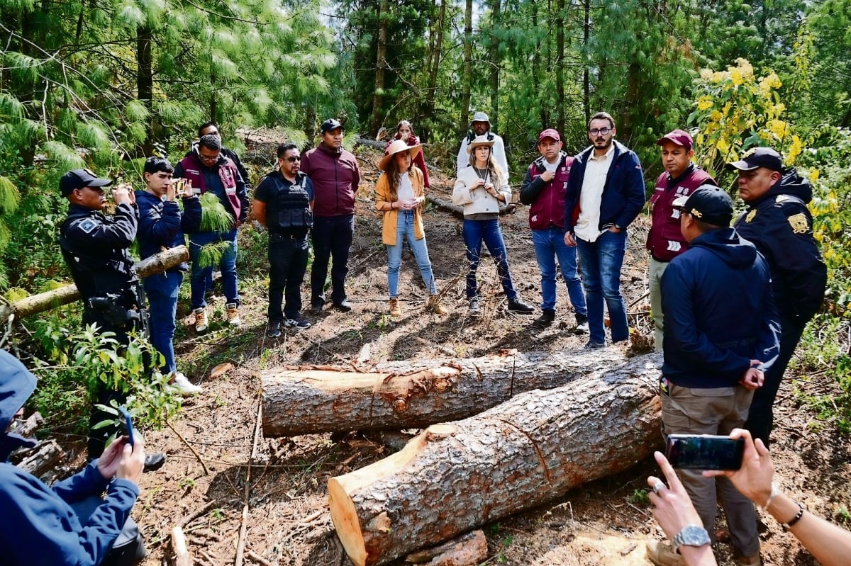 Fuerza internacional de estabilización será desplegada 