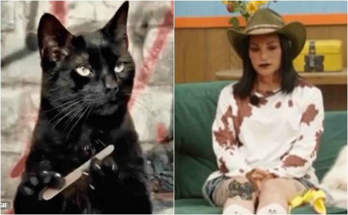 Fey coquetea con el regional… pero en versión light