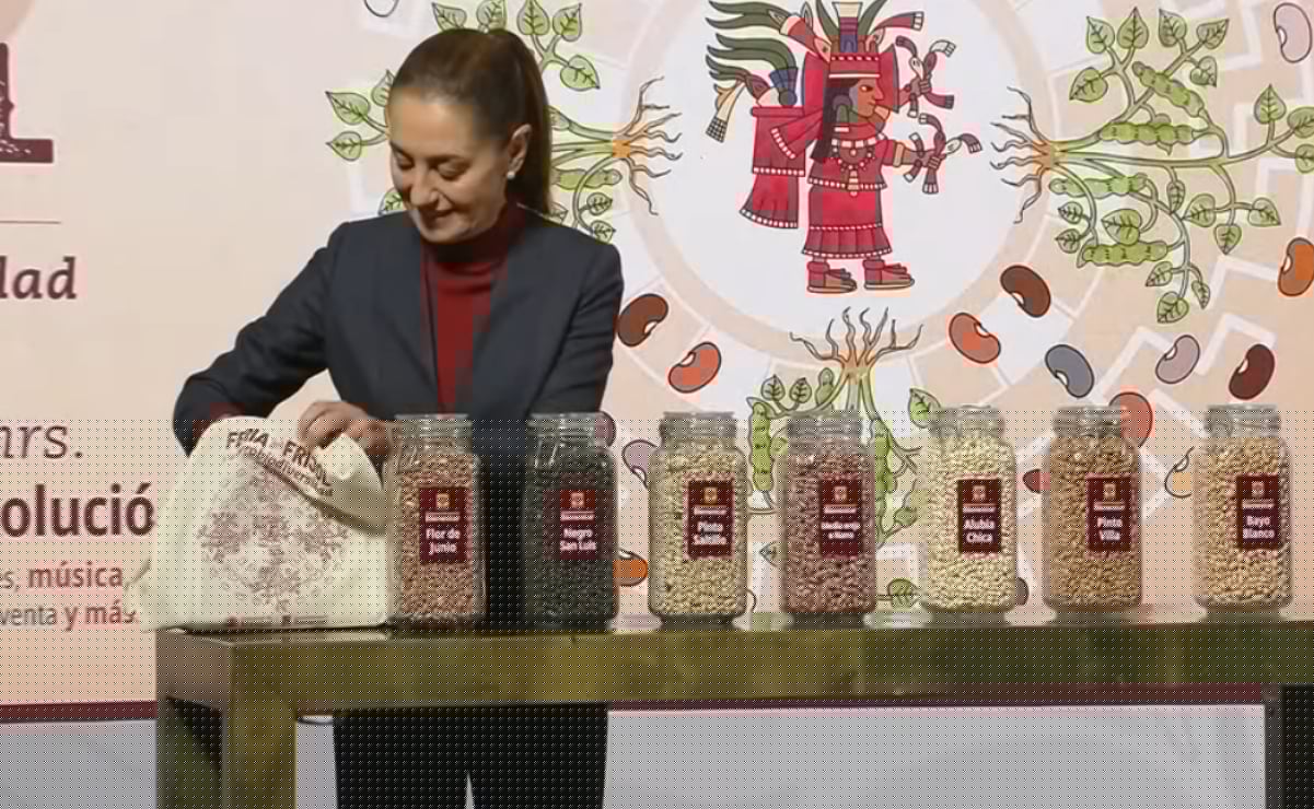 Presentan avances de apoyos para estados afectados