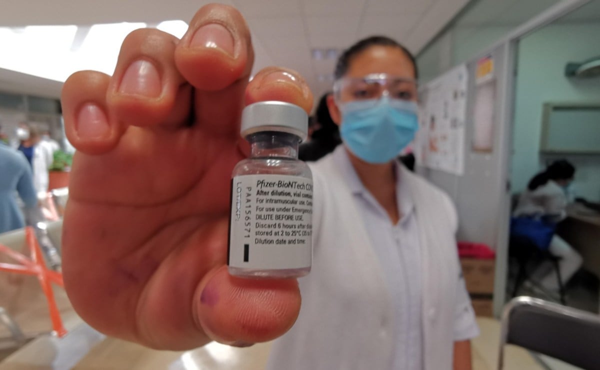 Buen Fin 2025: sonido para animar tus fiestas 