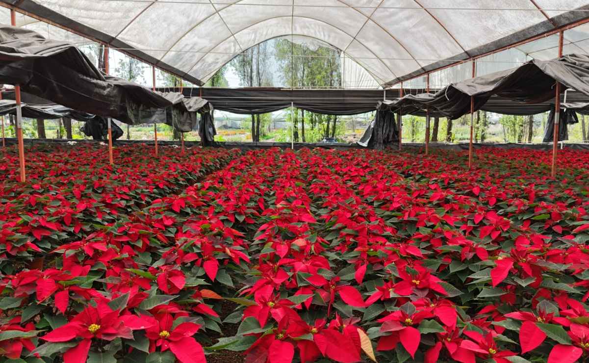 ¿Asistirás al Tecate Comuna?; ya hay horarios de a qué hora ver a tu banda favorita 