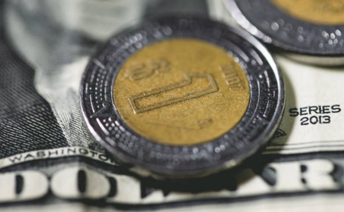 Precio del dólar: Así abre el billete verde este viernes mientras el bitcoin se desploma