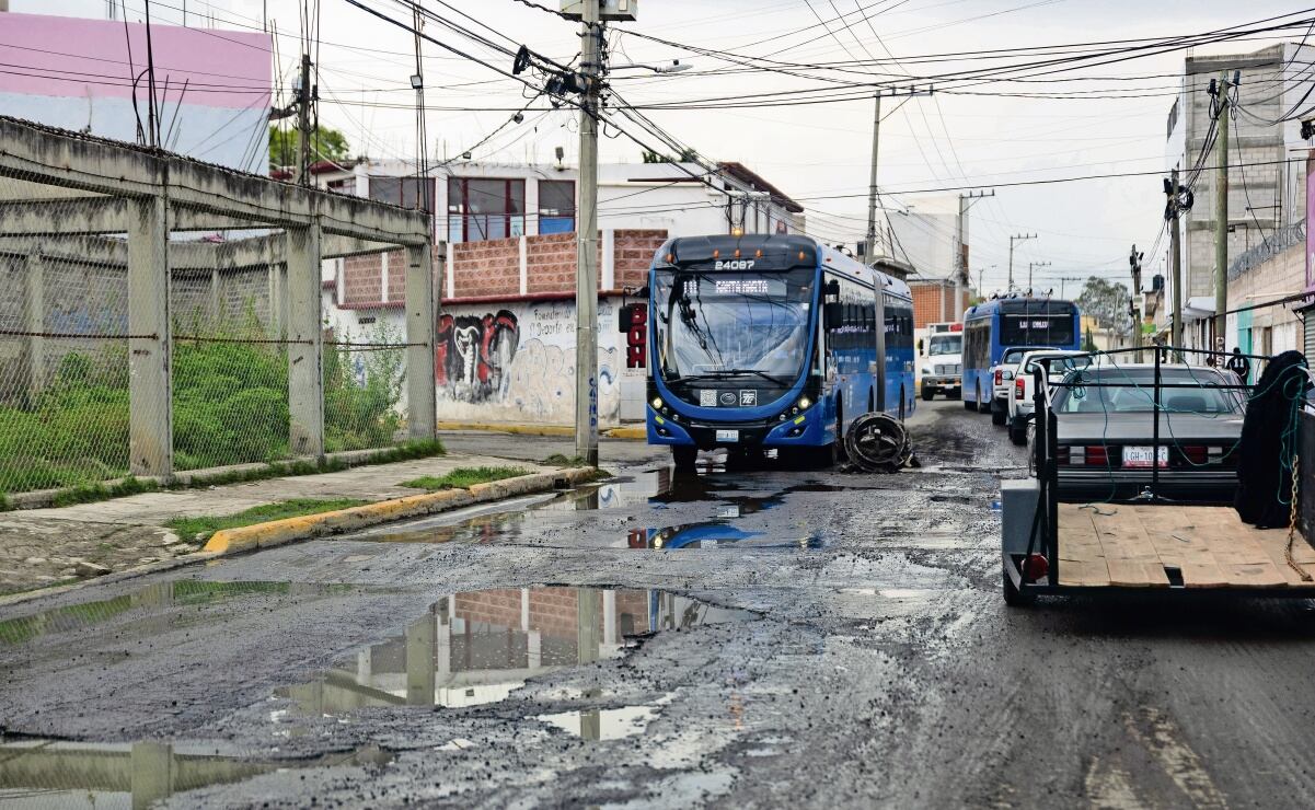 Guadalupe Taddei llama a salir a votar; 
