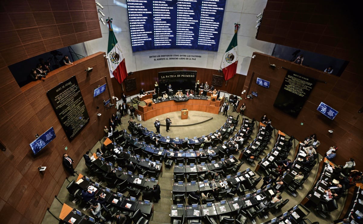 Tacones, teatro y libertad; el camino de 