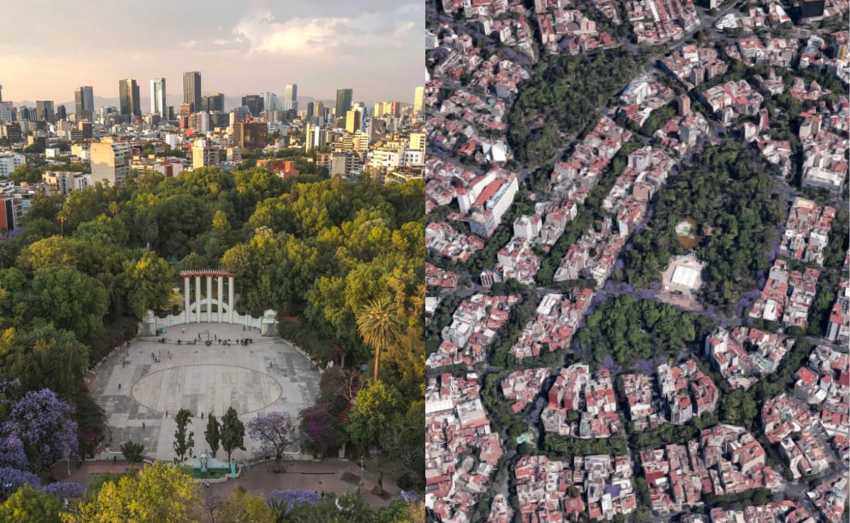 León escapa de parque en Turquía; causa heridas leves a una persona