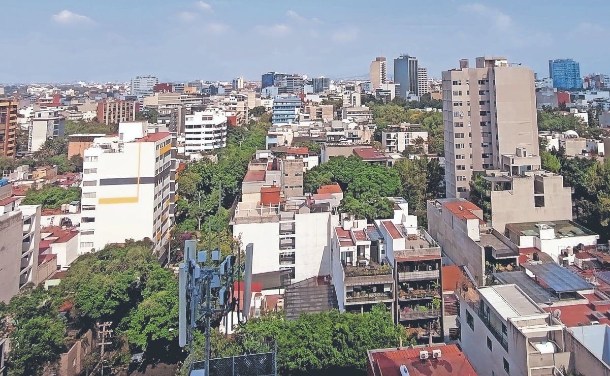 Profepa decomisa 43 aves silvestres en la CDMX; las tenían como mascotas en domicilio de la Condesa