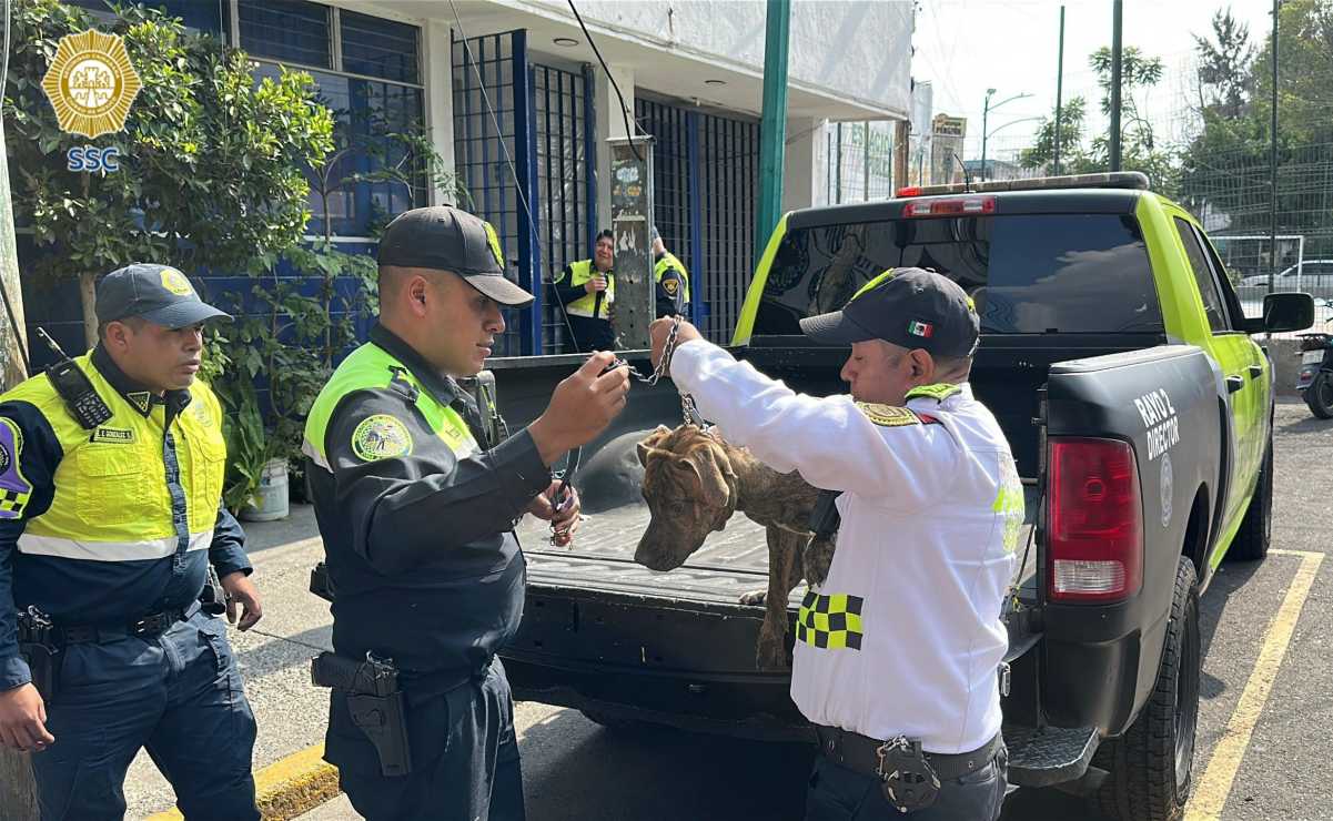 Detienen a 44 pasajeros de un autobús en Sonora; transportaban paquetes de droga en maletas