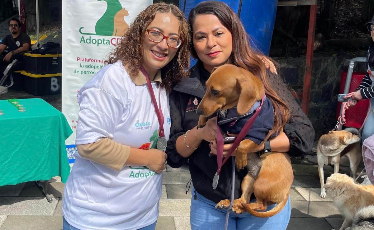 Semar entrena cachorros belga 