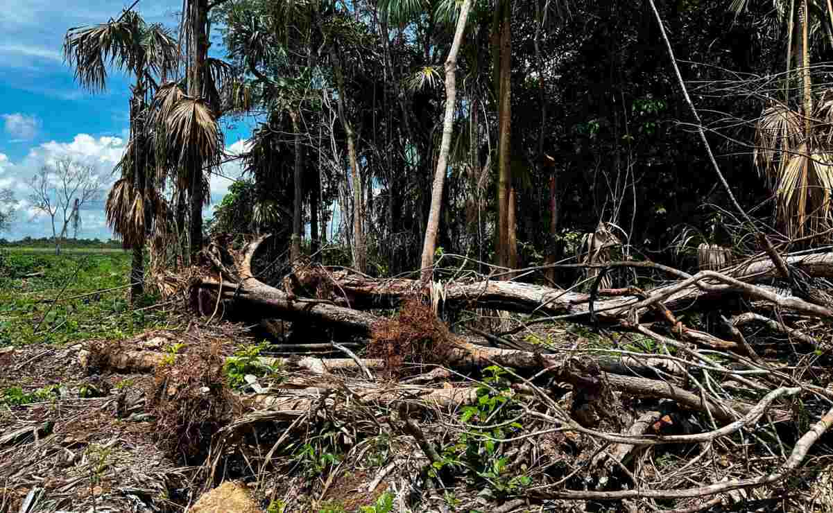 Óscar Almaraz, exalcalde de Ciudad Victoria, Tamaulipas, fallece de un infarto fulminante