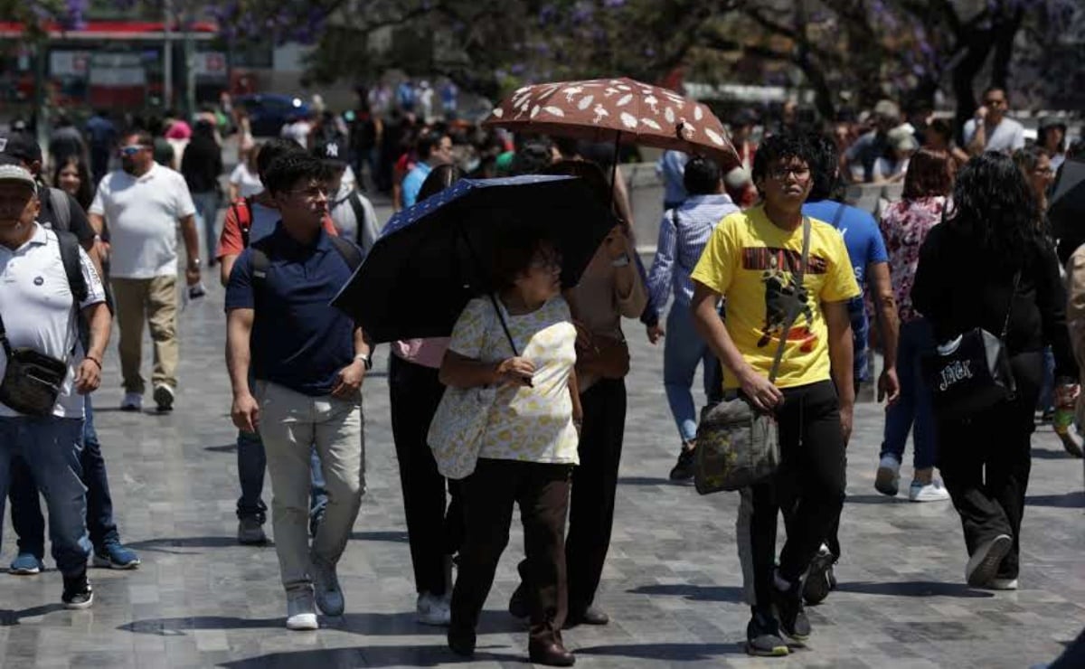 Morena acelera la comprobación de gastos