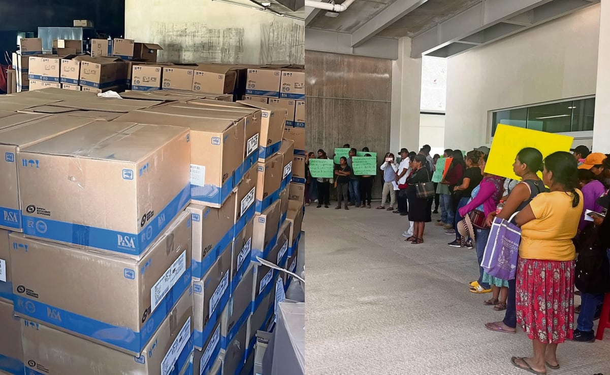 SEP lanza página para consultar cédula vigente de médicos y cirujanos plásticos; habilita Constancia de Situación Profesional