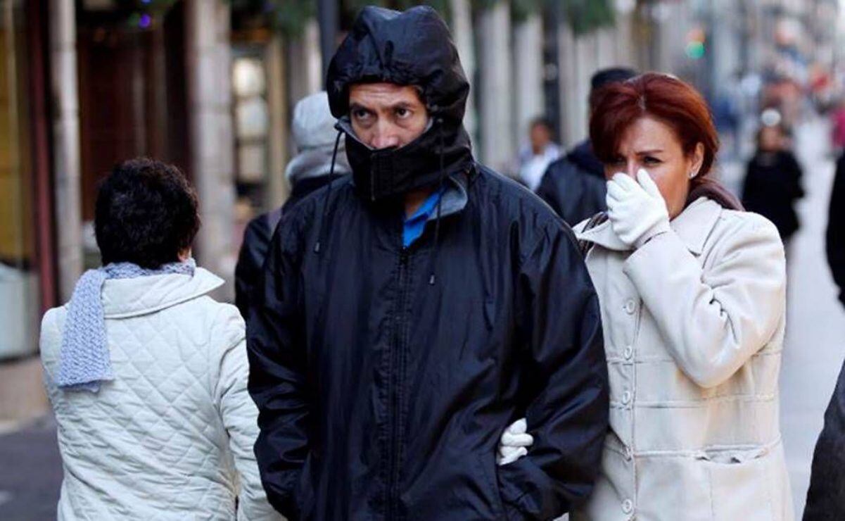 Ropa libre de pelos de perro: guía práctica para limpiar y evitar que se adhieran 