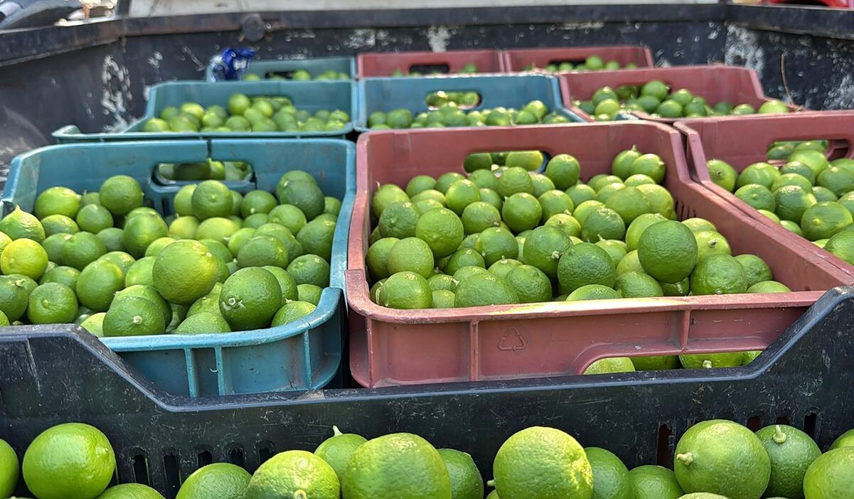 Año fiscal 2025 marca récord de mexicanos muertos bajo custodia del ICE en EU