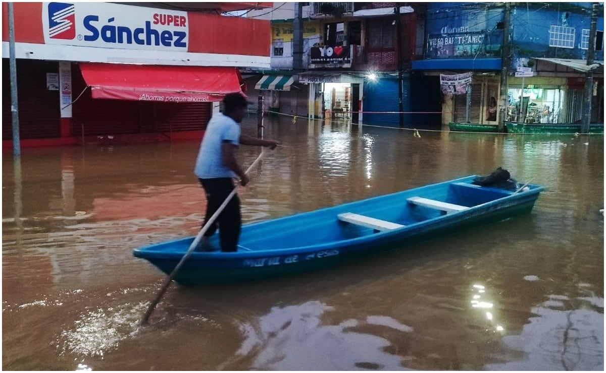 Llega a México 