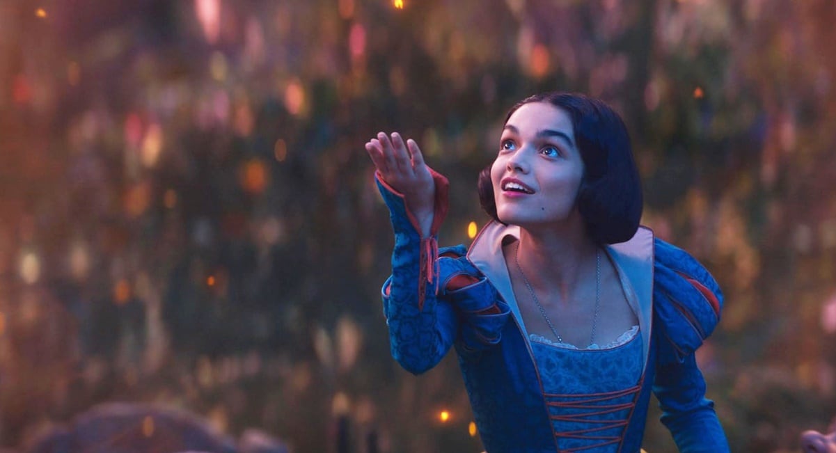 Elementos federales y estatales capturan a 15 personas en Abasolo, Tamaulipas; aseguran vehículos, armas, cartuchos, vehículos y droga