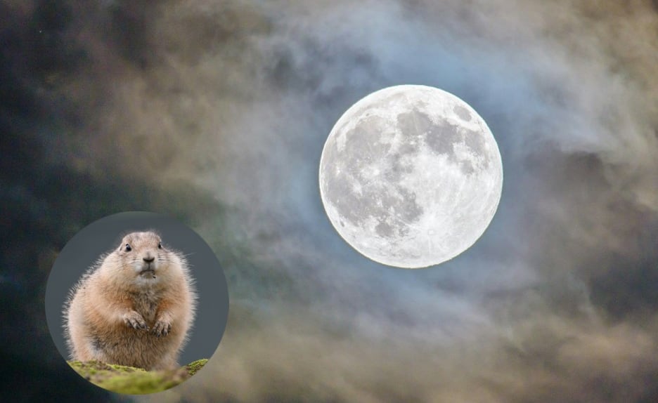 Desfile de Día de Muertos: Homenajean a Ximena Guzmán y José Muñoz, excolaboradores de Clara Brugada asesinados en Calzada de Tlalpan