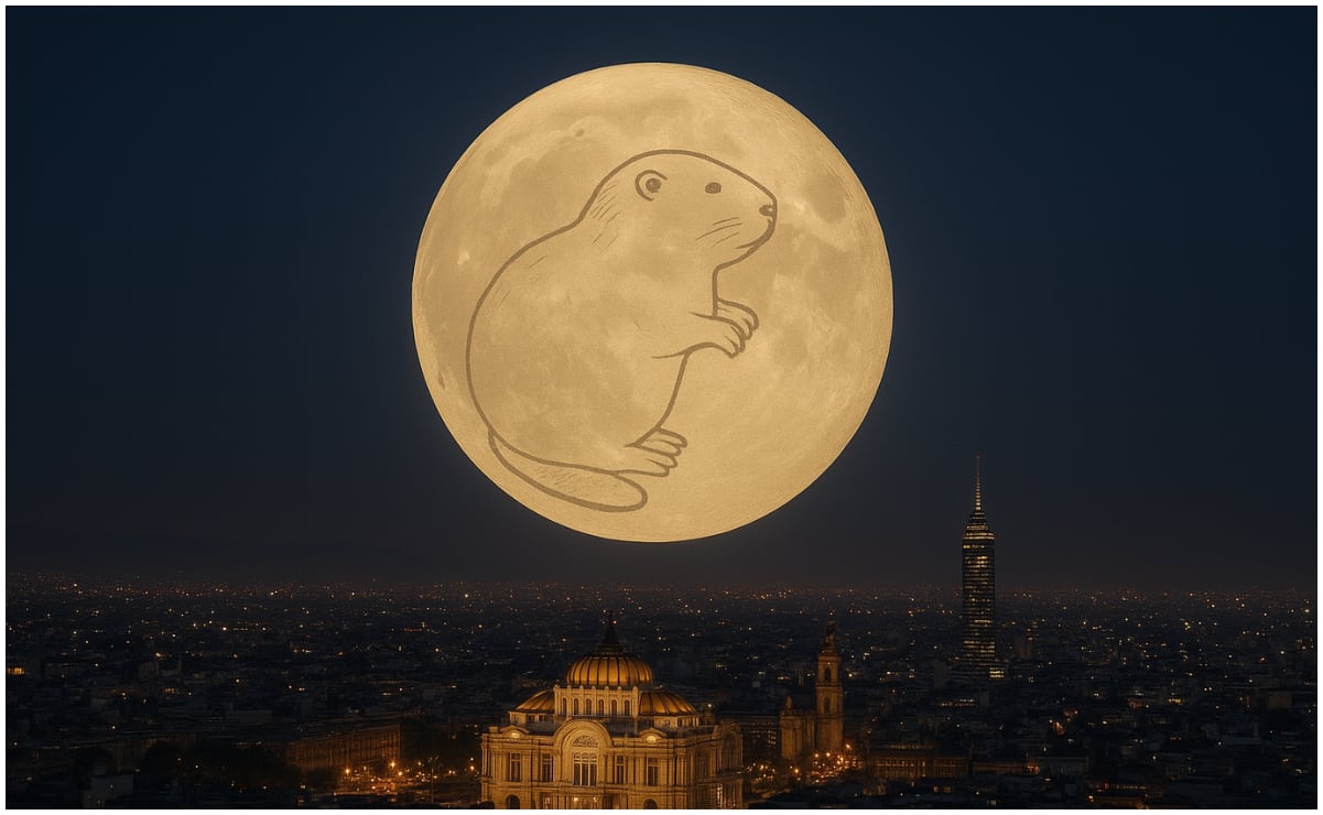 Aeropuertos de Bruselas y Lieja cierran por más de una hora debido a presencia drones