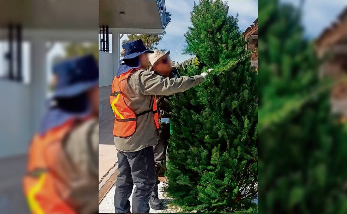 Pedro Haces pide a productores de aguacate y limón de Michoacán no cerrar empresas; destaca plan de seguridad de Sheinbaum