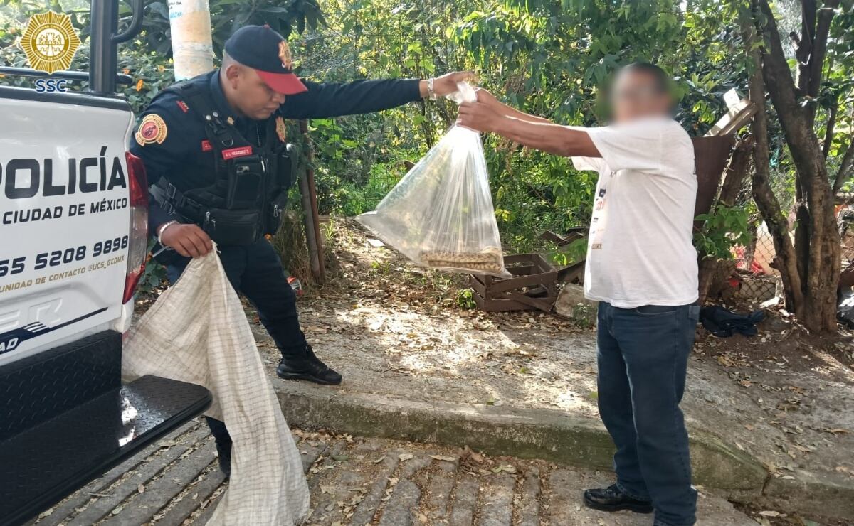 Detienen a siete personas con armas durante operativos en Culiacán, Sinaloa