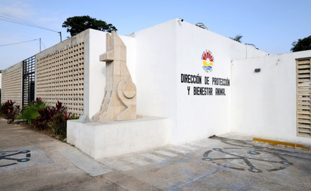 Cómo reparar una foto antigua con Gemini