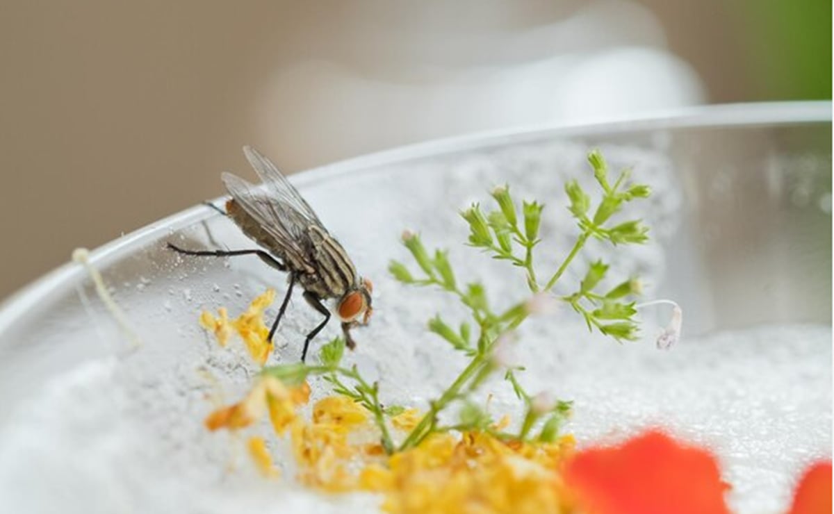 Petro ordena suspender intercambio de inteligencia con EU por ataques a lanchas en el Caribe y Pacífico