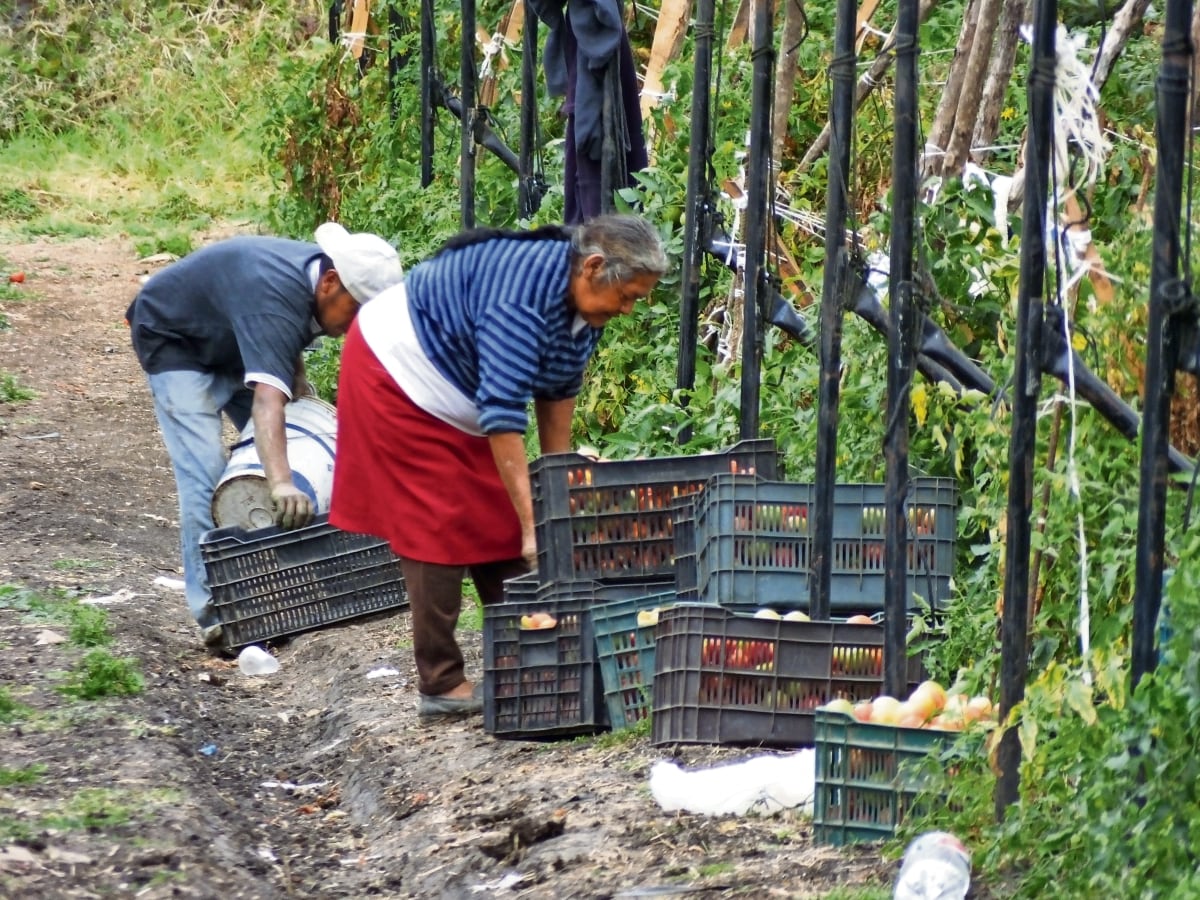 La Bolsa Mexicana de Valores rompe techo de 64 mil puntos