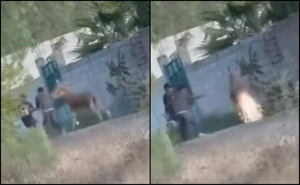 Sheinbaum justifica vallas en Palacio Nacional; son para prevenir violencia en marcha de Generación Z y CNTE, dice