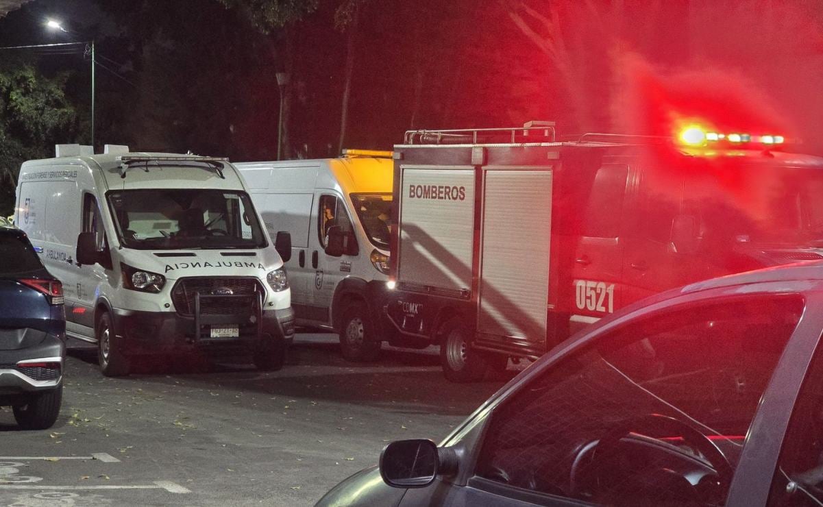 Buen Fin 2025: ¿a qué hora comienzan las ofertas en Liverpool, Sears y otras tiendas?