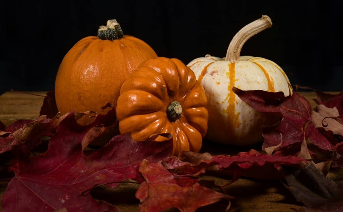 Por el Buen Fin, alistan operativo con 10 mil elementos en zonas comerciales de Sinaloa 