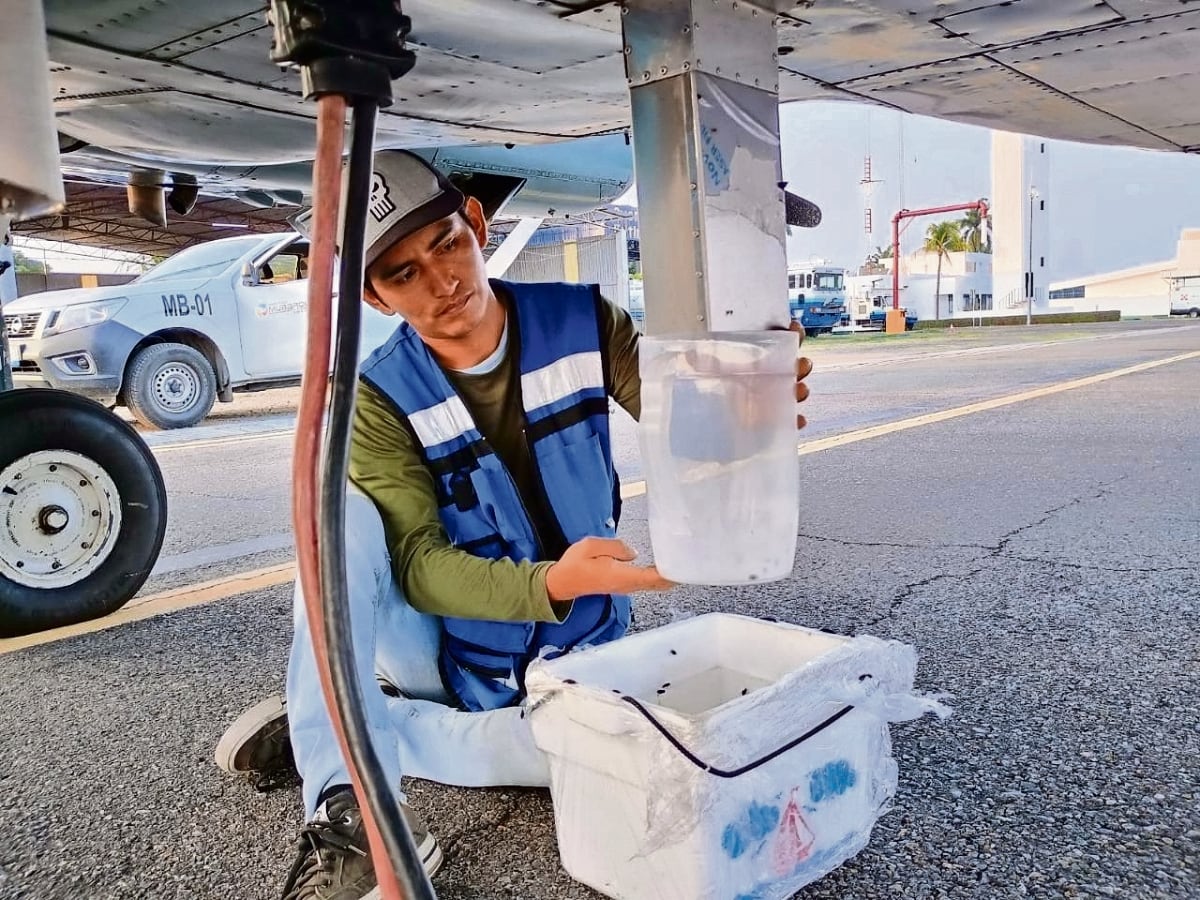 Salinas Pliego deberá pagar 48 mil mdp al SAT