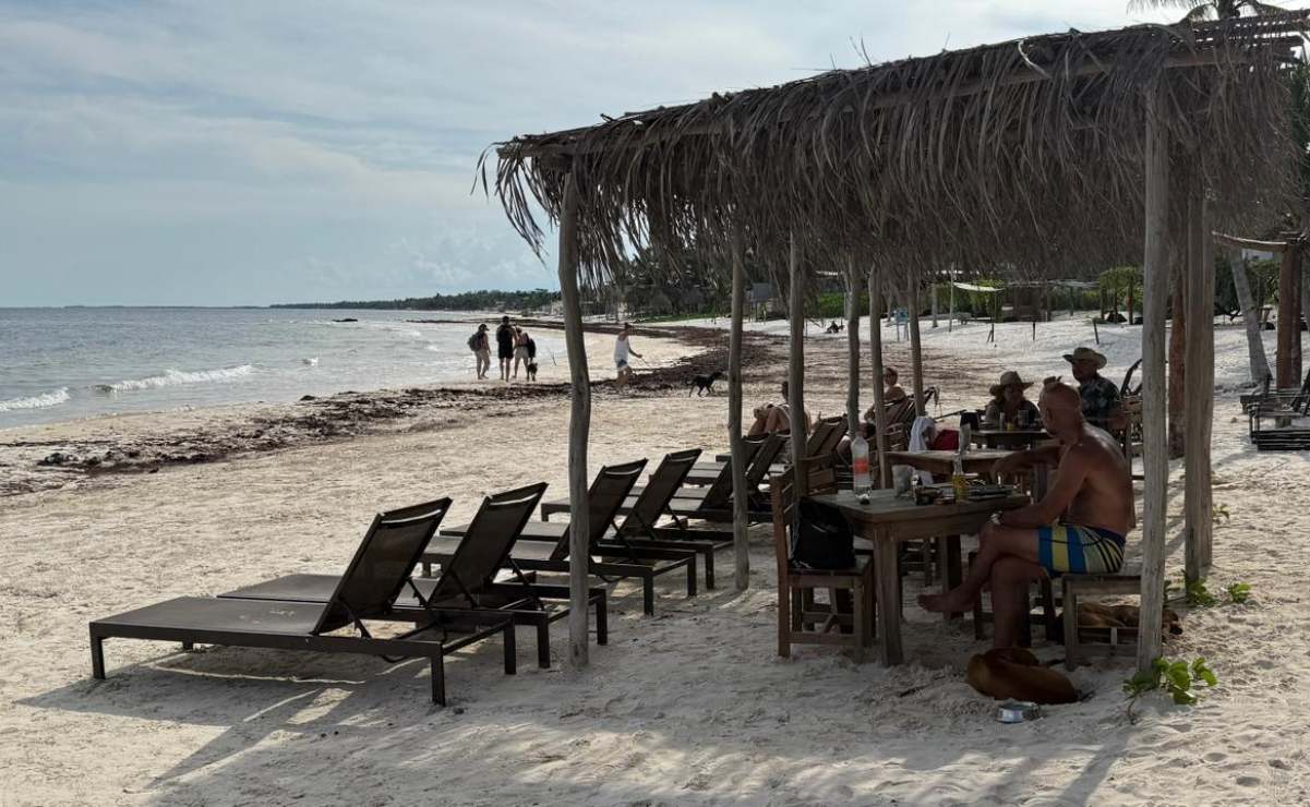 Buen Fin 2025: celulares que debes aprovechar en las ofertas