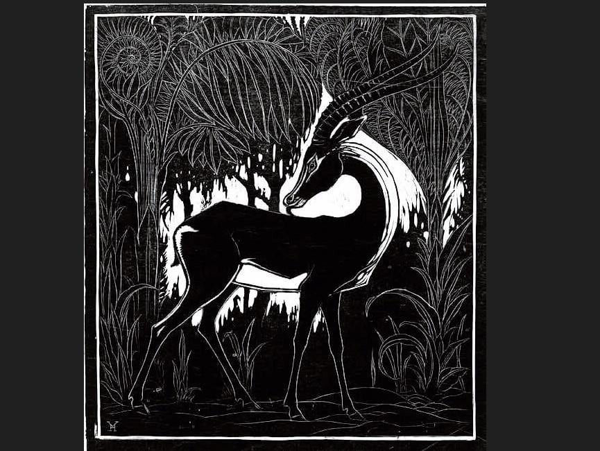 Jóvenes encaran al gobernador Castro Cosío; 