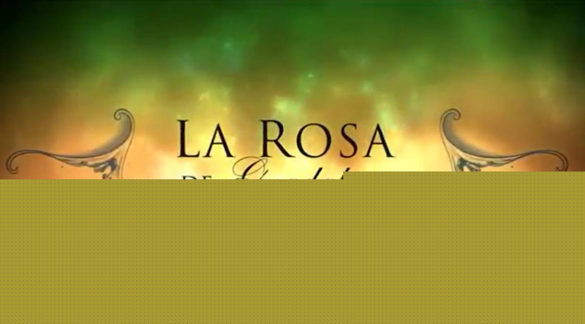 NFL: Eagles y Lions chocan en duelo de candidatos de la Conferencia Nacional